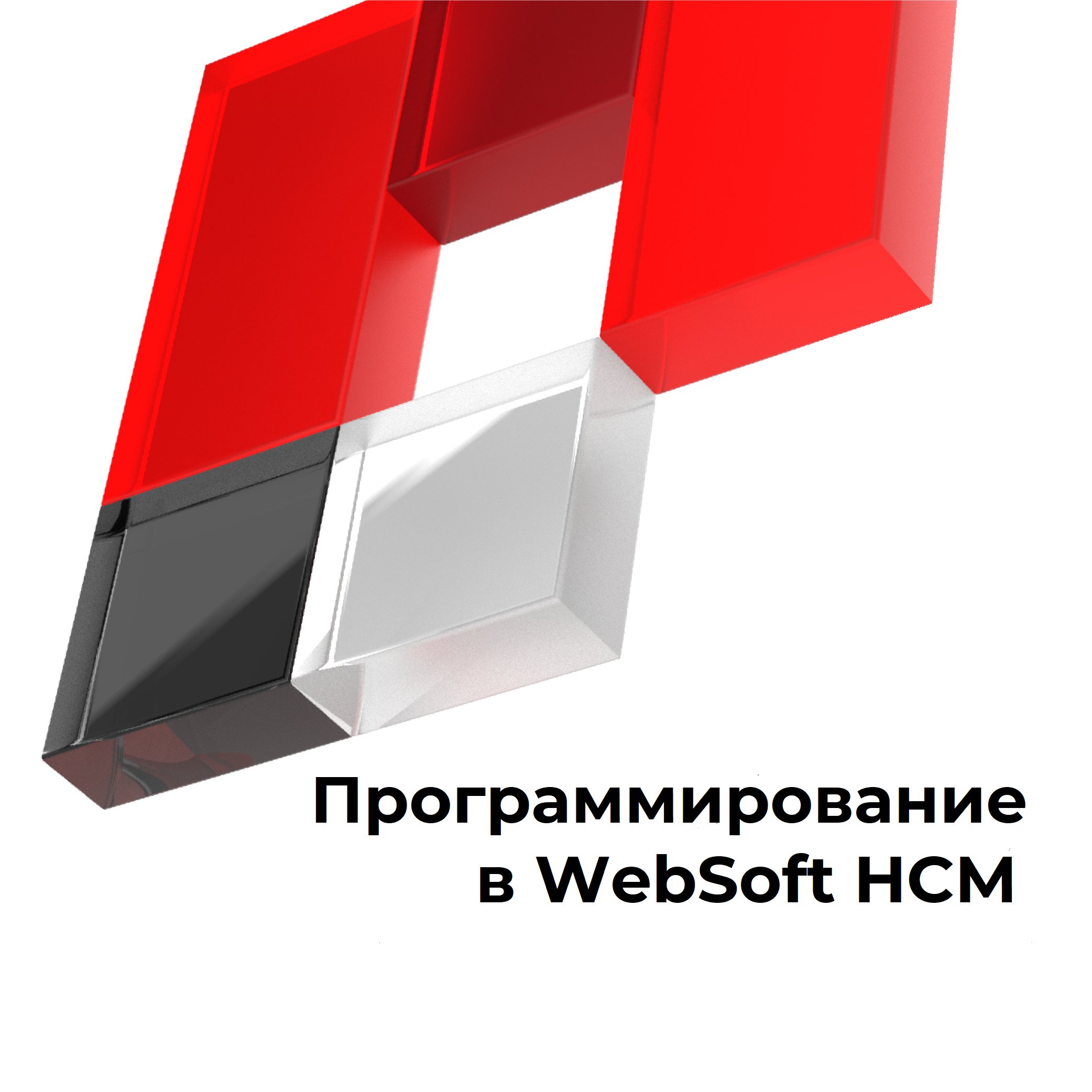 Программирование в WebSoft HCM